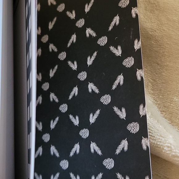 Paper, scrapbooking paper, Christmas,  peace and Joy, brand is Recollections - Picture 13 of 13